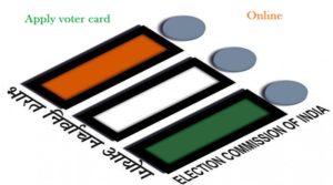 voter card online